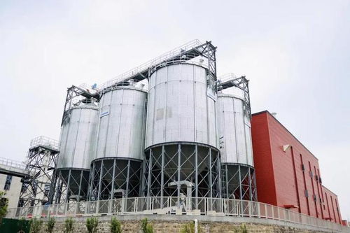 山東省酒業協會領導參觀指導趵突泉酒莊技術開發與建設工作